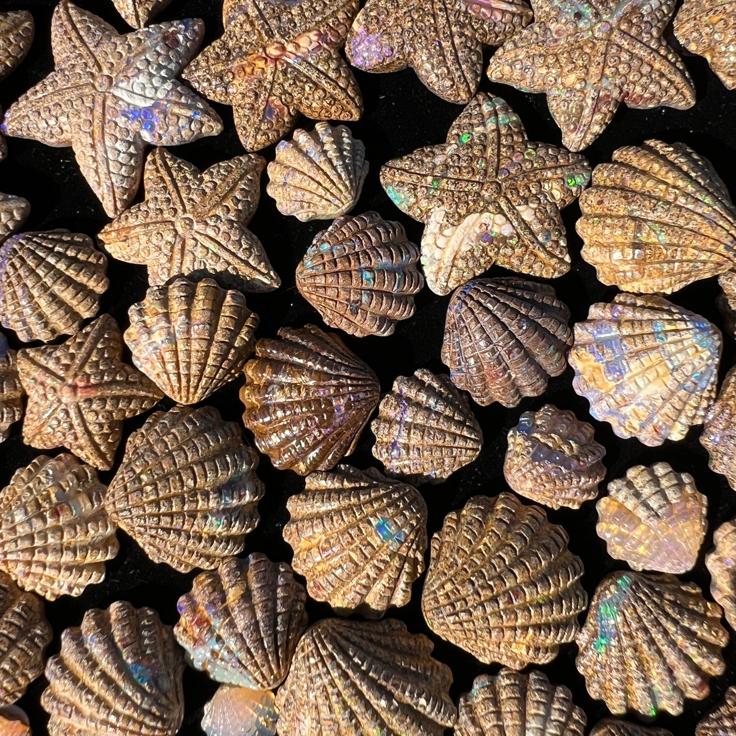 Shell & Starfish opal carvings