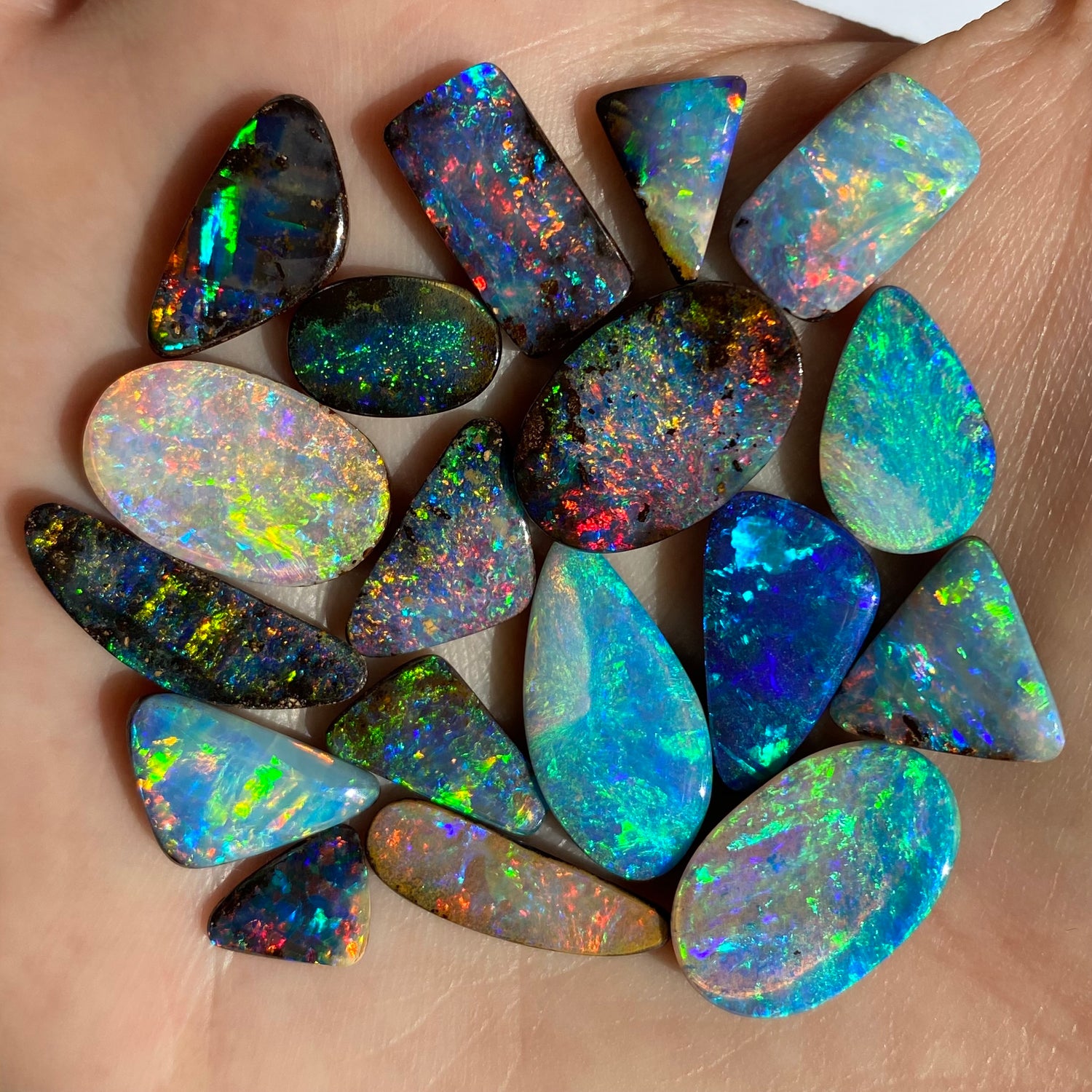Gem boulder opals