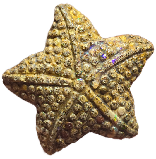 Exquisite 29.34 Ct Australian Boulder Opal Matrix Starfish Carving