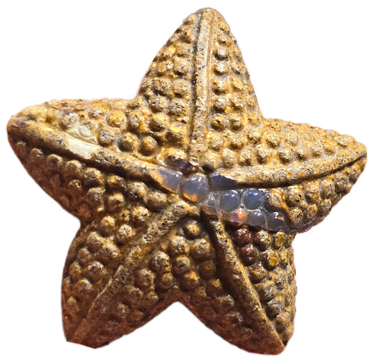 Exquisite 27.56 Ct Australian Boulder Opal Matrix Starfish Carving