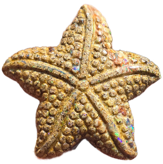 Exquisite 28.74 Ct Australian Boulder Opal Matrix Starfish Carving