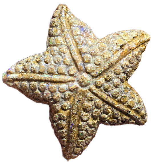 Exquisite 16.95 Ct Australian Boulder Opal Matrix Starfish Carving