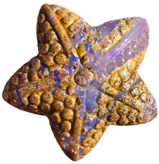 Exquisite 16.88 Ct Australian Boulder Opal Matrix Starfish Carving