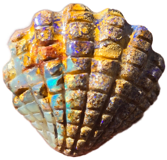 Exquisite 11.95 Ct Australian Boulder Opal Matrix Scallop Shell Carving