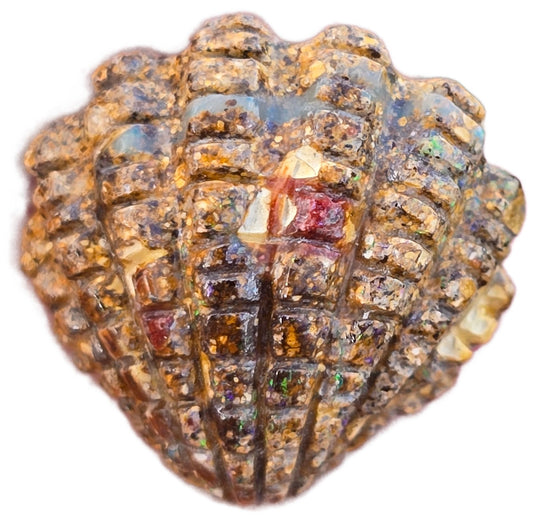 Exquisite 8.94 Ct Australian Boulder Opal Matrix Scallop Shell Carving