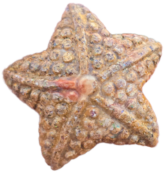 Exquisite 13.33 Ct Australian Boulder Opal Matrix Starfish Carving