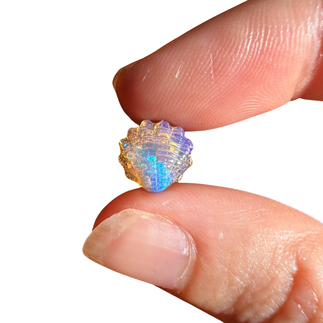 1.96 Ct wood replacement opal shell carving