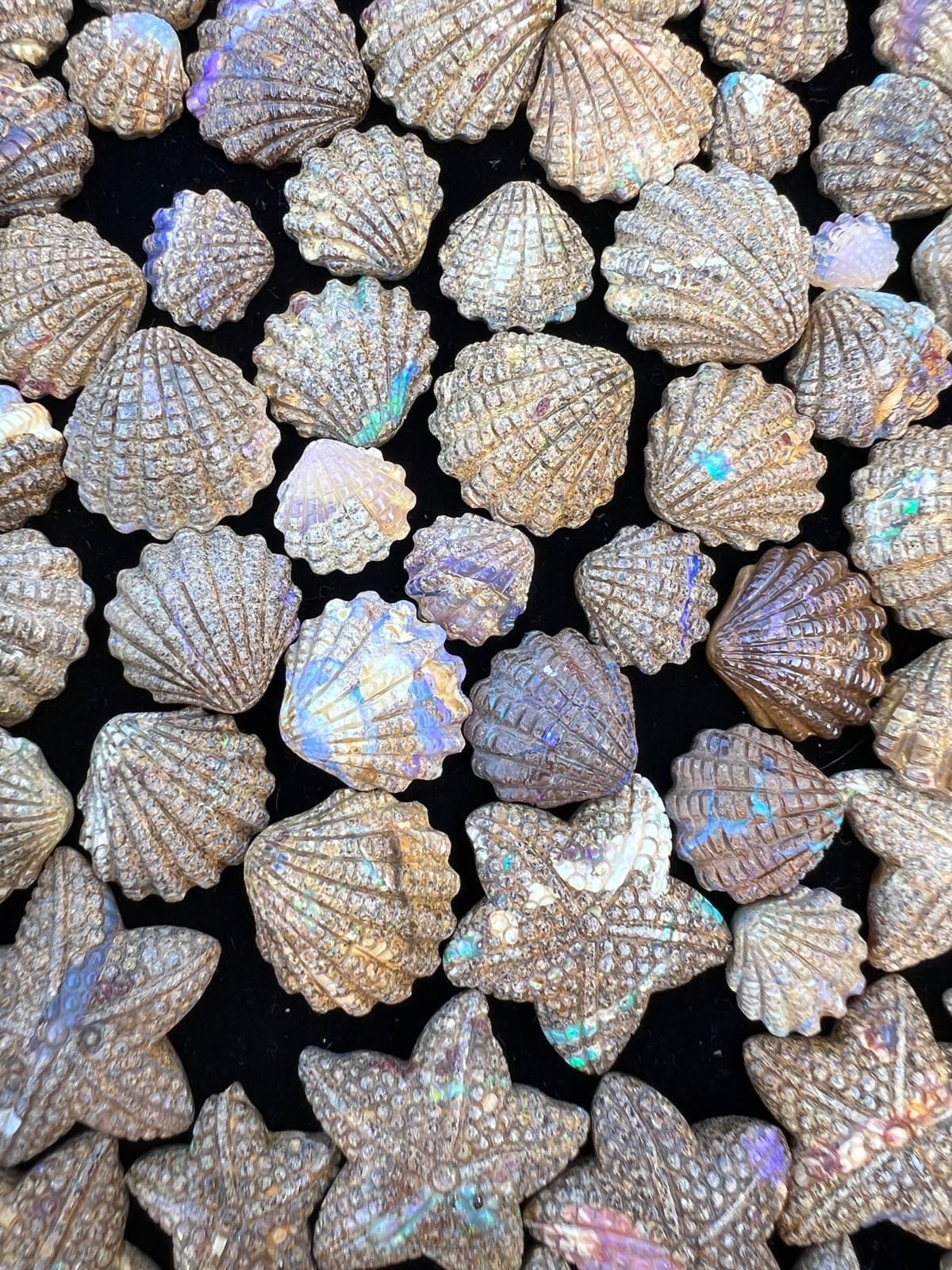Exquisite 3.64 Ct Australian Boulder Opal Matrix Scallop Shell Carving =Handcrafted Rarity and Symbolism